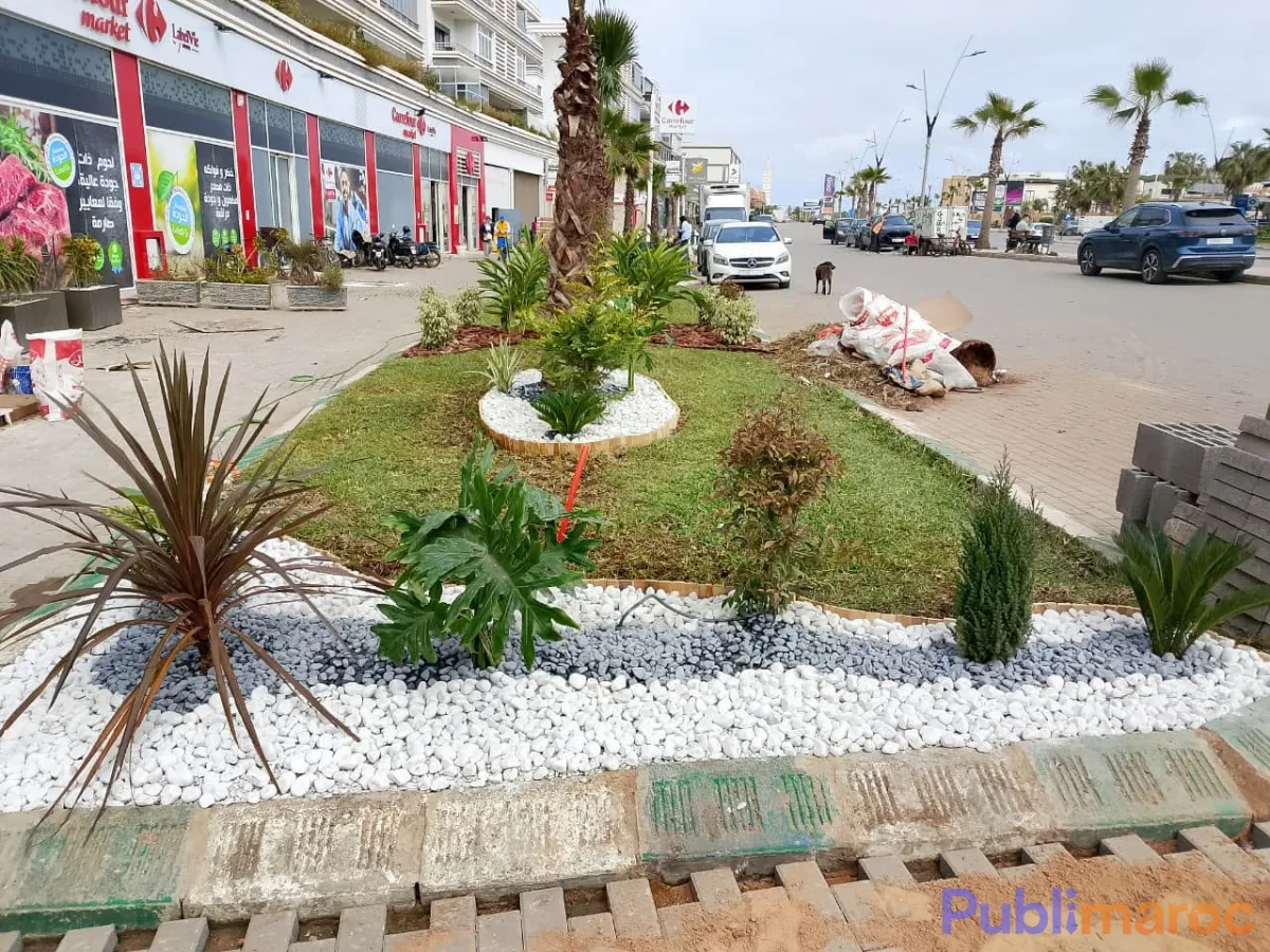 Jardinier Paysagiste Indépendant – Hassan Ait Hda (+20 Ans d'Expérience) photo 3