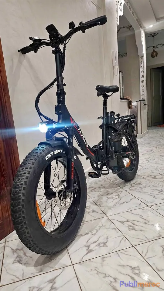 À VENDRE : FAT BIKE ÉLECTRIQUE FAFREES F20 MAX (OCCASION COMME NEUF)