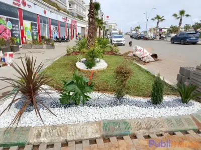 Jardinier Paysagiste Indépendant – Hassan Ait Hda (+20 Ans d'Expérience) photo 3