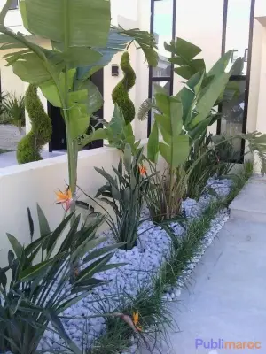 Jardinier Paysagiste Indépendant – Hassan Ait Hda (+20 Ans d'Expérience) photo 7
