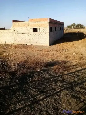 VENTE TERRAIN AGRICOLE TITRÉ – 5 HECTARES (Région Sidi Slimane) photo 2