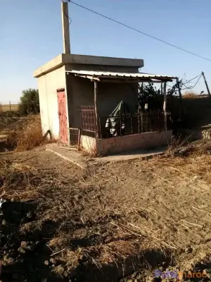 VENTE TERRAIN AGRICOLE TITRÉ – 5 HECTARES (Région Sidi Slimane) photo 3