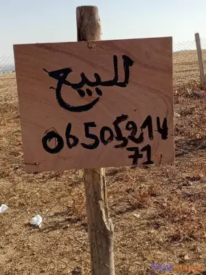 بقعة أرضية للبيع – 70 متر مربع (دوار حميدة علال / الكارة) photo 5