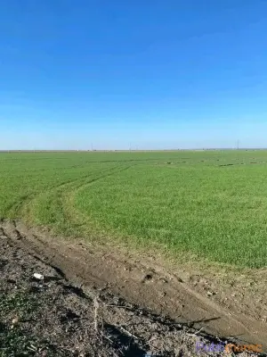 TERRAIN AGRICOLE DE 10 HECTARES À VENDRE – Région de Sidi Slimane