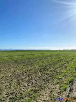 TERRAIN AGRICOLE DE 10 HECTARES À VENDRE – Région de Sidi Slimane photo 3