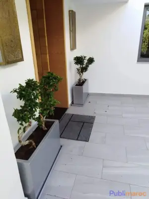 حوّل مساحتك إلى واحة خضراء مذهلة! photo 3