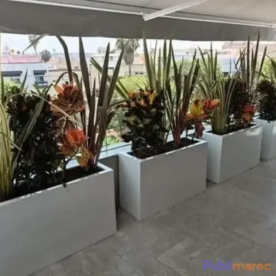 حوّل مساحتك إلى واحة خضراء مذهلة! photo 4