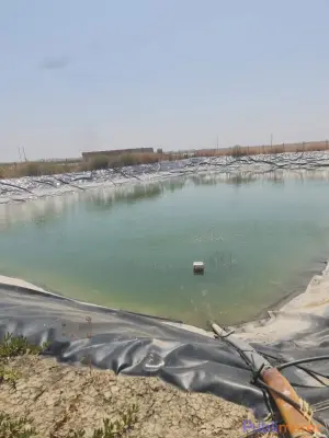 OPPORTUNITÉ AGRICOLE : FERME DE 10 HECTARES À VENDRE – Région de Sidi Slimane photo 5