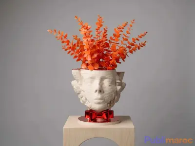 ORÉA RAAG - Vase visage sculptural photo 1