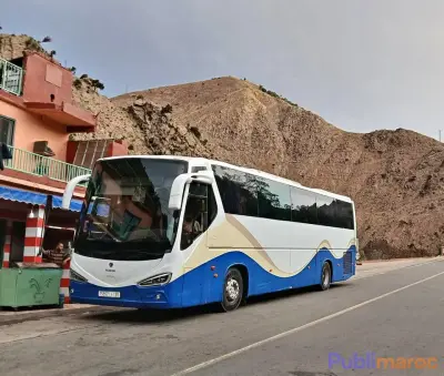 Scania Transport de voyageurs – Modèle 2010
