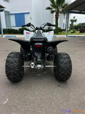 Quad 200cc – Année 2026 photo 5